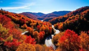 Read more about the article Fall in Love with Autumn: Top US Destinations for Fall Foliage