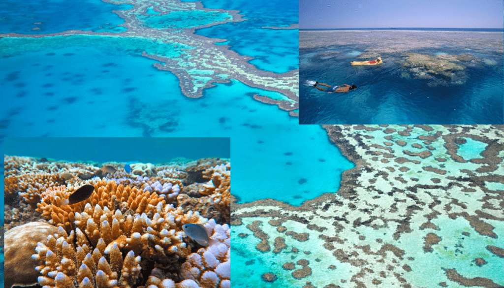 The Great Barrier Reef- Australia